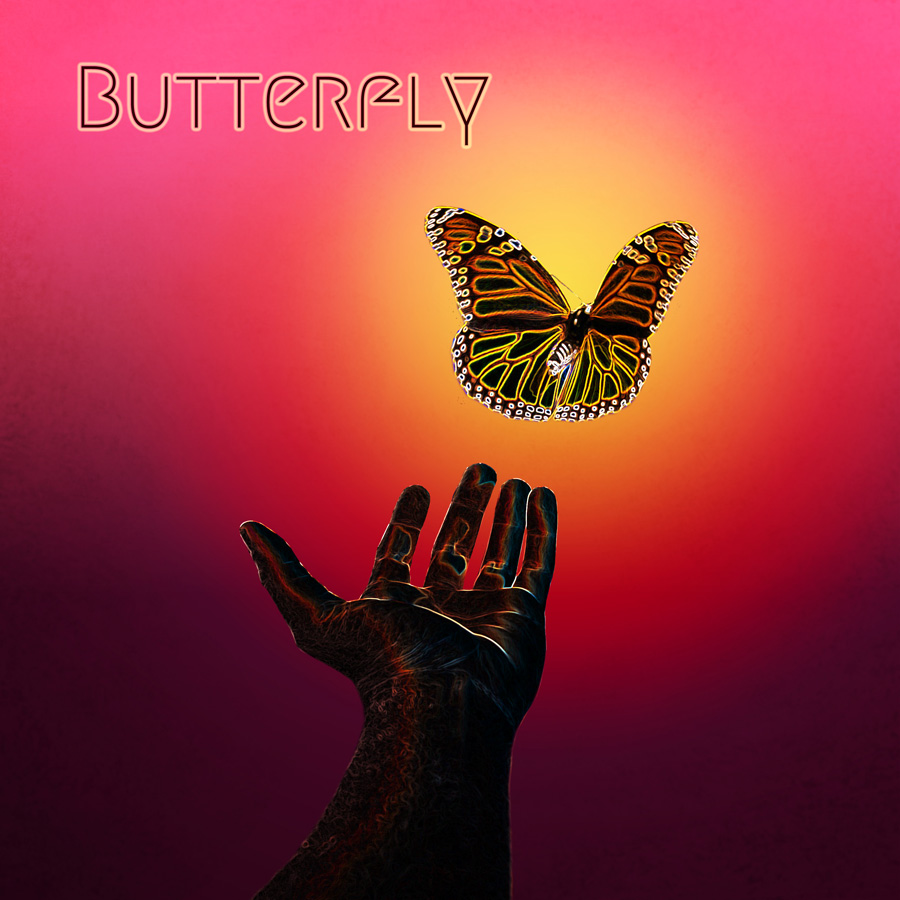 “Butterfly” Song